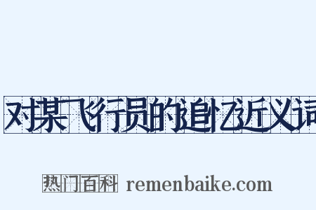 对某飞行员的追忆近义词是什么意思的图片